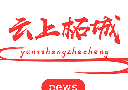 云上柘城客户端