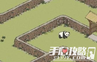 《江南百景图》大熊猫位置汇总及抓捕技巧