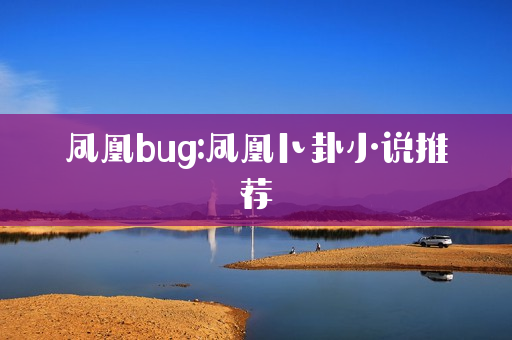 凤凰bug:凤凰卜卦小说推荐