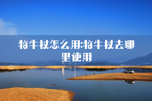 牧牛杖怎么用:牧牛杖去哪里使用