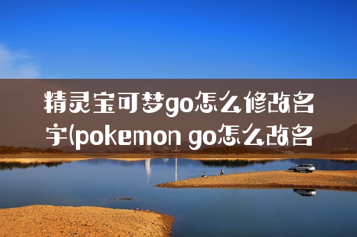 精灵宝可梦go怎么修改名字(pokemon go怎么改名字)