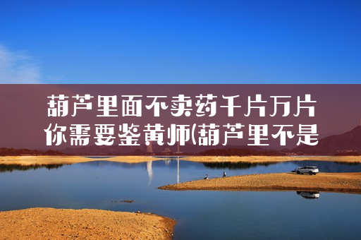 葫芦里面不卖药千片万片你需要鉴黄师(葫芦里不是药)