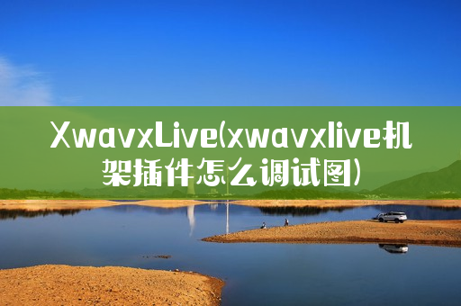 XwavxLive(xwavxlive机架插件怎么调试图)