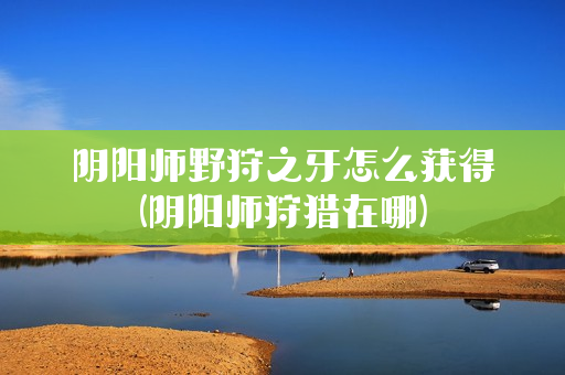 阴阳师野狩之牙怎么获得(阴阳师狩猎在哪)
