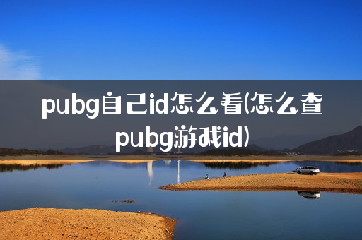 pubg自己id怎么看(怎么查pubg游戏id)