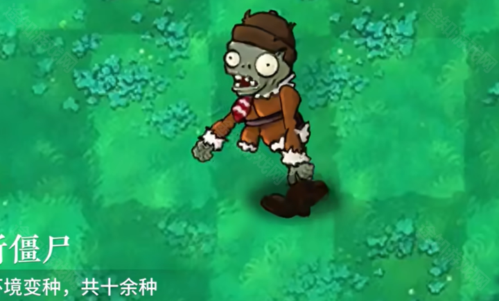 植物大战僵尸自然版1.0