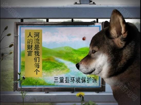 翌日波奇狗的历险记中文版