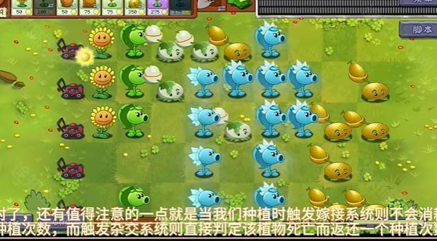 植物大战僵尸转基因版