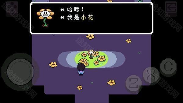 传说之下bnp